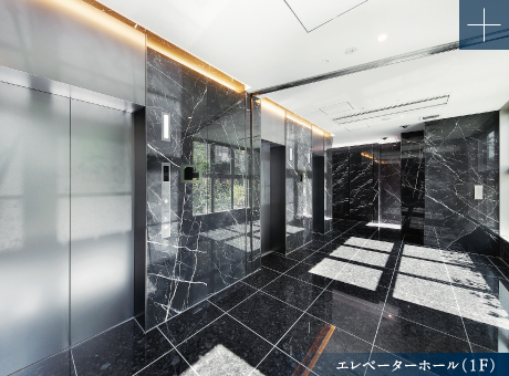 エレベーターホール(1F)