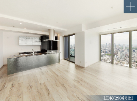 LDK(2904号室)