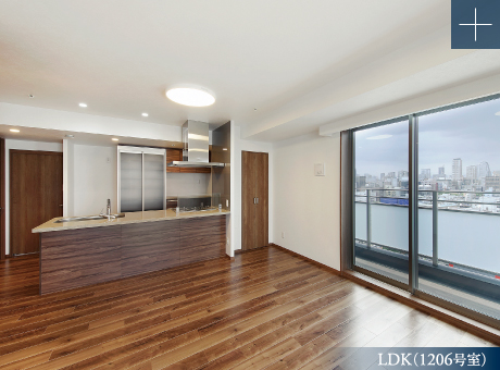 LDK(1206号室)