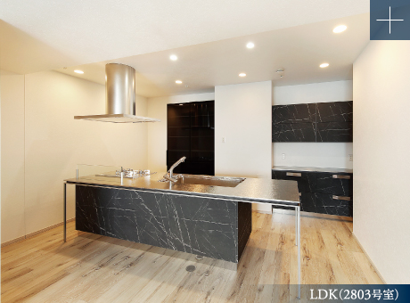 LDK(2803号室)