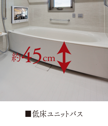 浴室ラック$フラッグストーンフロア