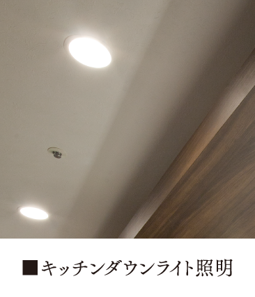 キッチンバック収納［OP］