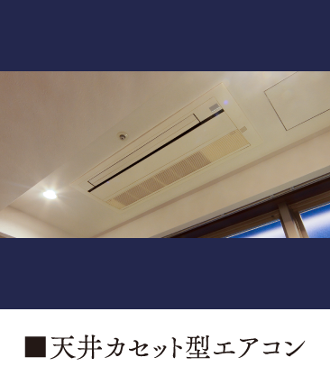 フラット蝶番&埋め込みドアストッパー